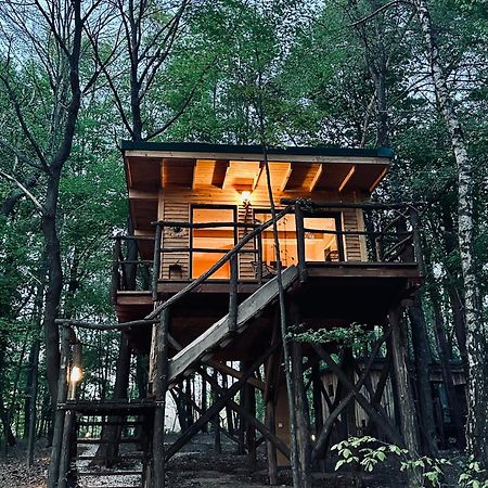 Living Forest Resort Moravske-Toplice Exteriör bild