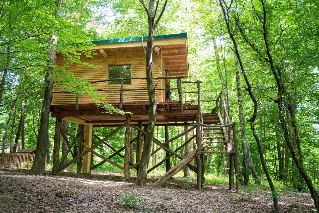 Living Forest Resort Moravske-Toplice Exteriör bild