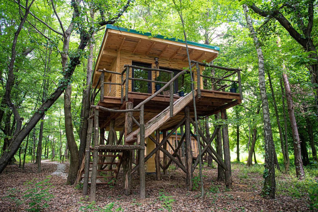 Living Forest Resort Moravske-Toplice Exteriör bild