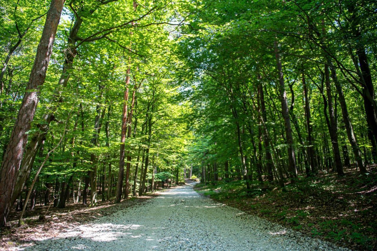 Living Forest Resort Moravske-Toplice Exteriör bild