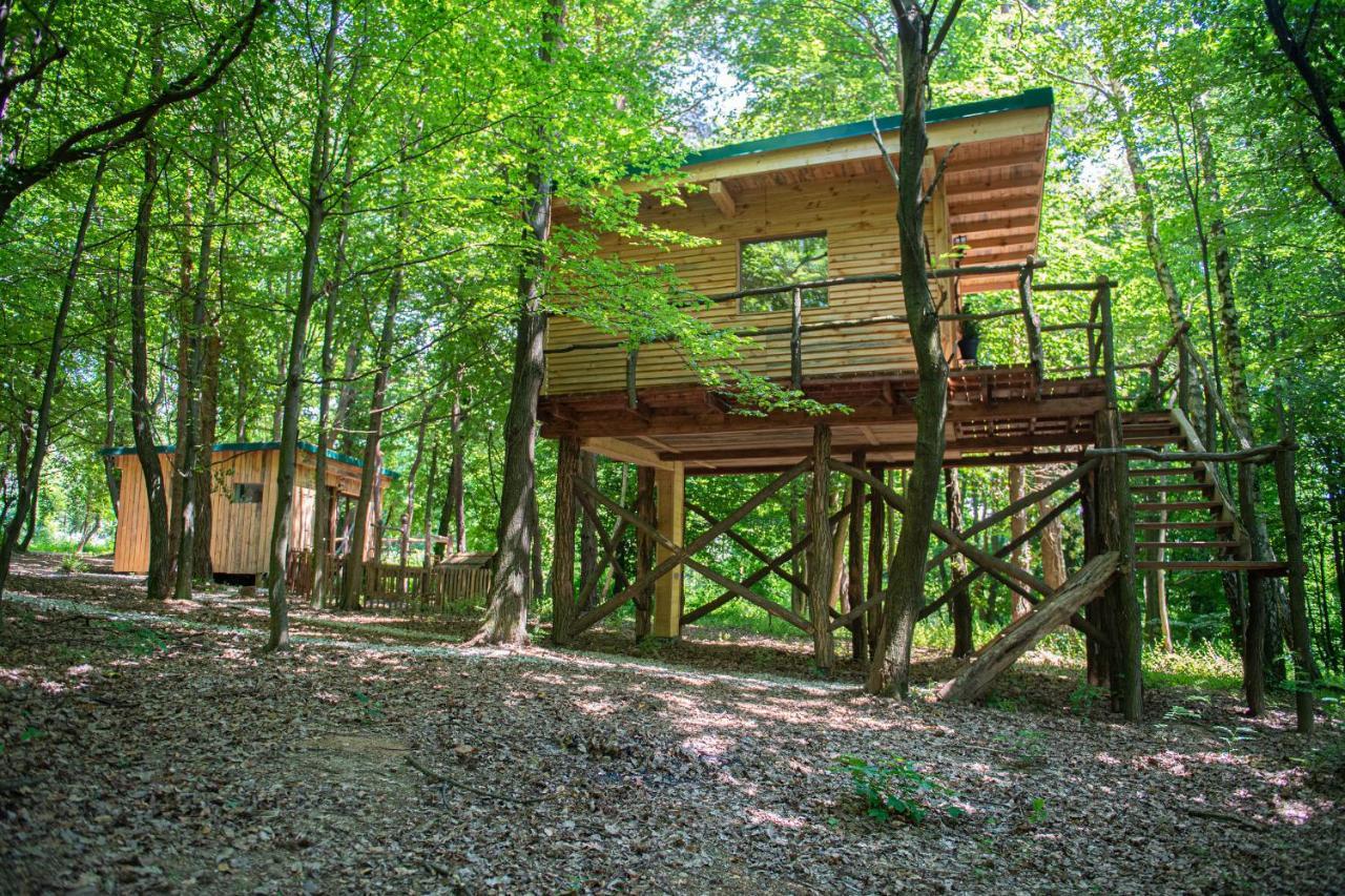 Living Forest Resort Moravske-Toplice Exteriör bild
