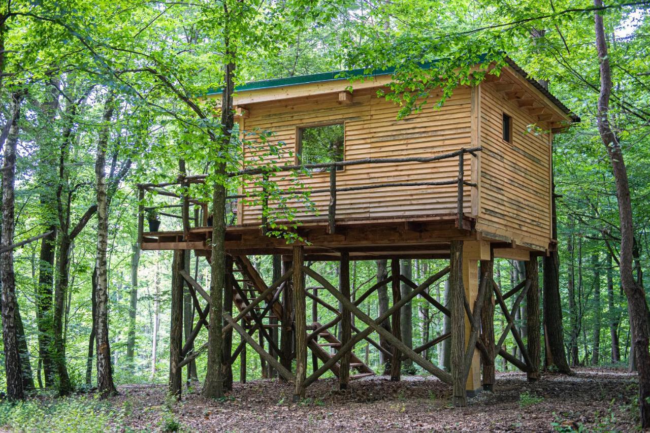 Living Forest Resort Moravske-Toplice Exteriör bild