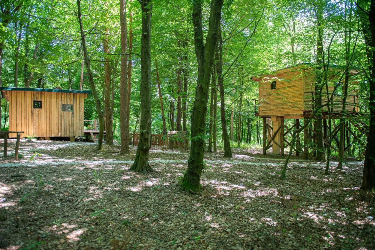 Living Forest Resort Moravske-Toplice Exteriör bild