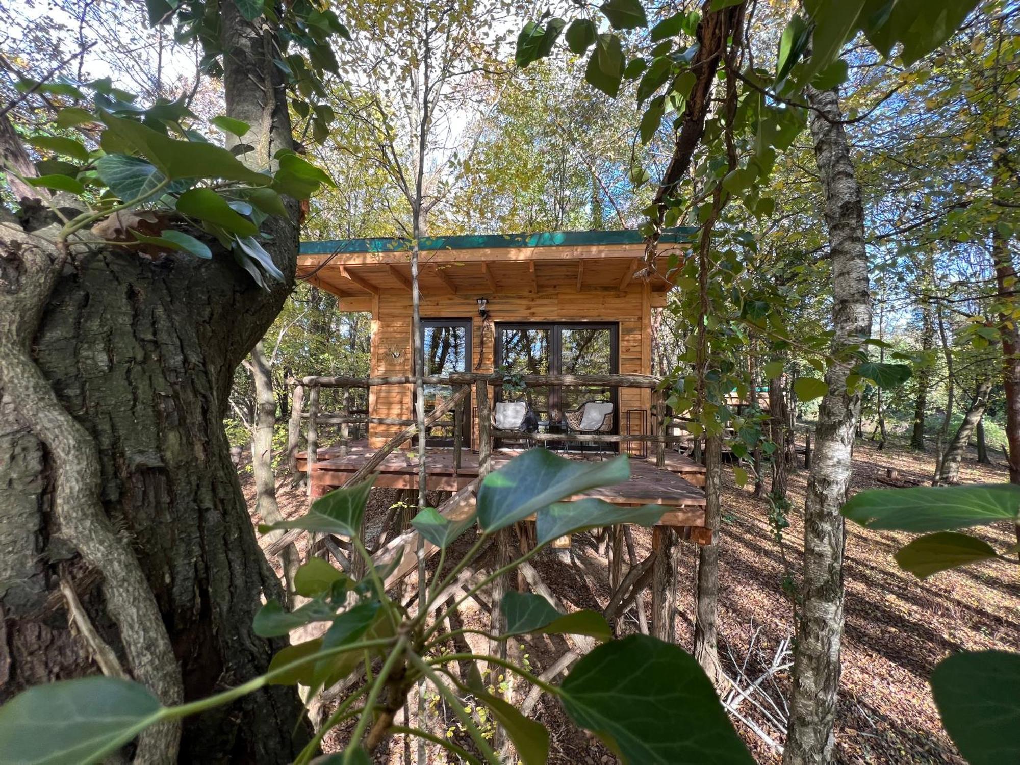 Living Forest Resort Moravske-Toplice Exteriör bild