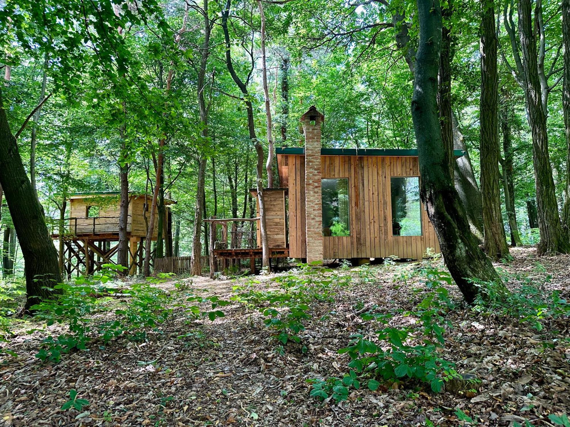 Living Forest Resort Moravske-Toplice Exteriör bild